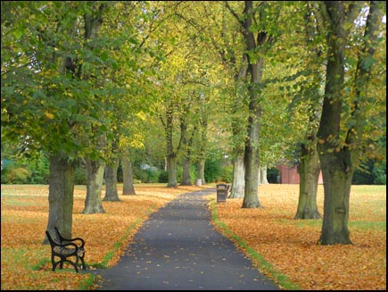 park in autumn