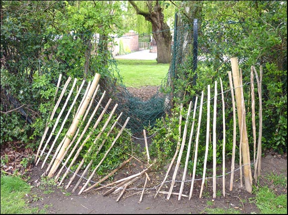 park fence