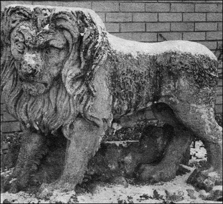 stone lion