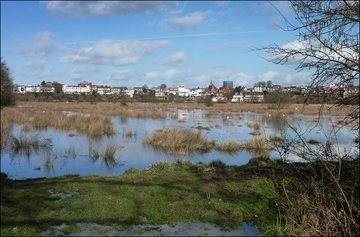 flooded chester meadows