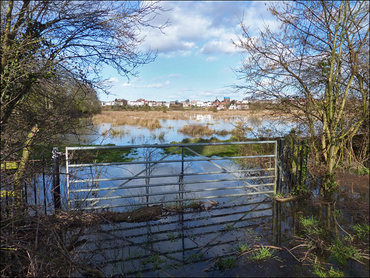 flooded chester meadows