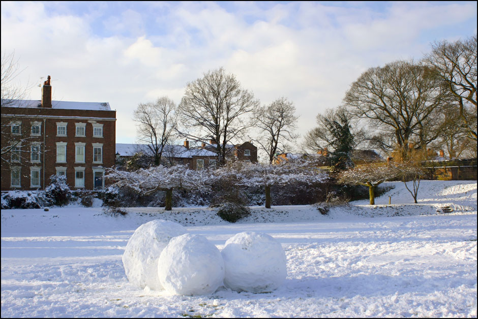 snowballs on the deanery field