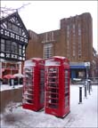 chester in the snow 2013