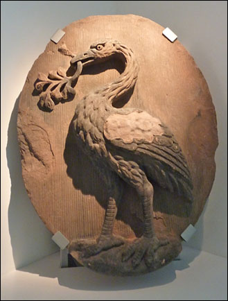 liver bird in museum