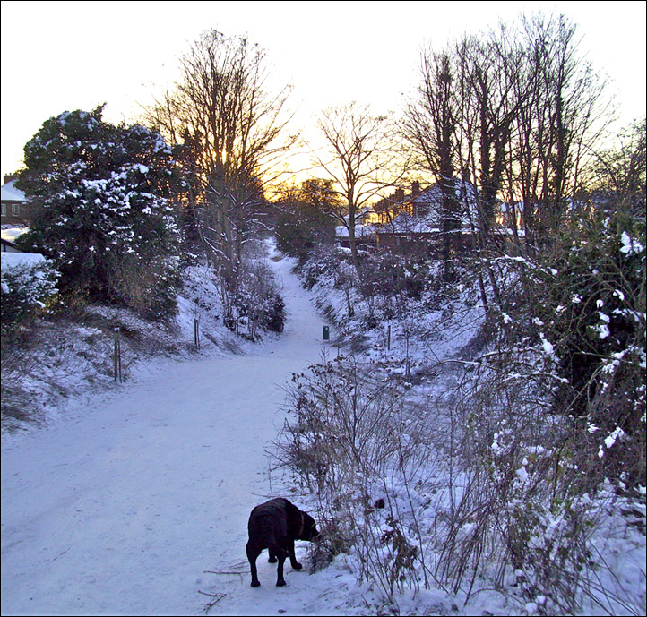 newton hollows in the snow