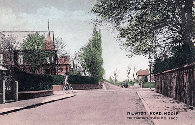 newton lane