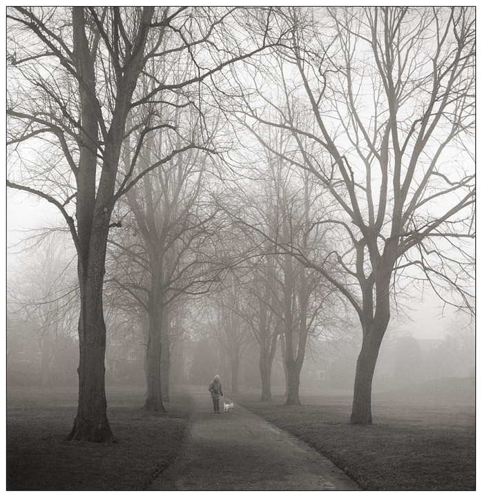 foggy day in alexandra park