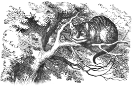 picture of Cheshire cat