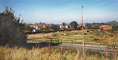 brook lane allotments